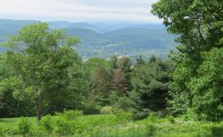 Elmira College Awarded A “Preserve New York” Grant