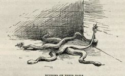 Fall ‘Trouble Begins’ Lecture Series Continues Oct. 27