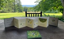 Alive Together (A Quarry Farm Testimonial)