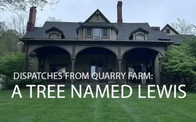 Dispatches from Quarry Farm: A Tree Named Lewis