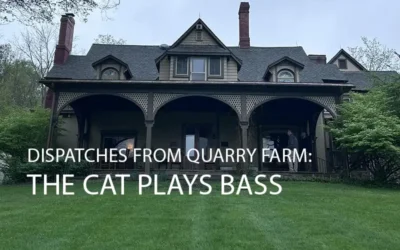 Dispatches From Quarry Farm: The Cat, Plays Bass.