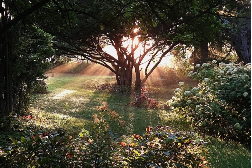 Michael Czarnecki, Poet and Artist, Contributes a Quarry Farm Testimonial