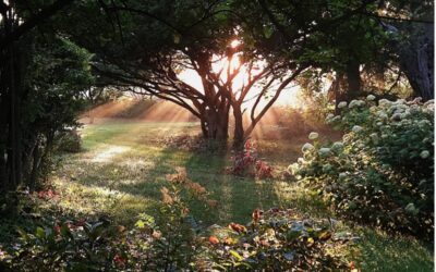 Michael Czarnecki, Poet and Artist, Contributes a Quarry Farm Testimonial